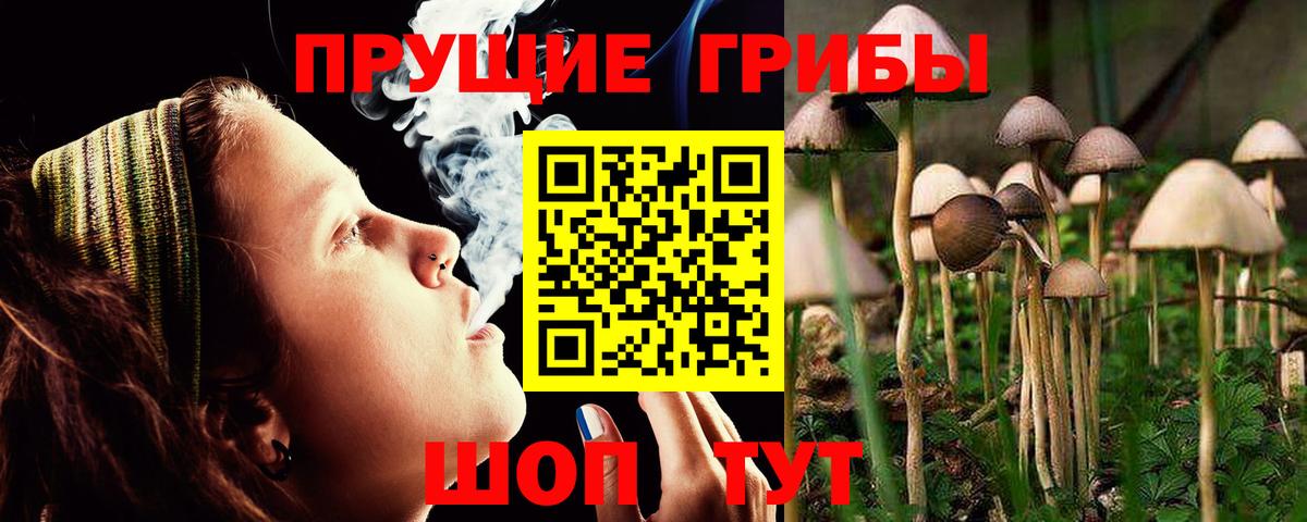 Галлюциногенные грибы Cubensis  Вход с VPN  Галлюциногенные грибы Magic Shrooms  Подольск 