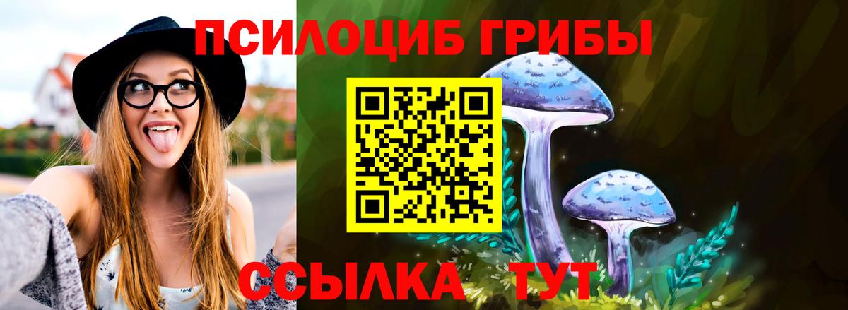 Галлюциногенные грибы Magic Shrooms Подольск
